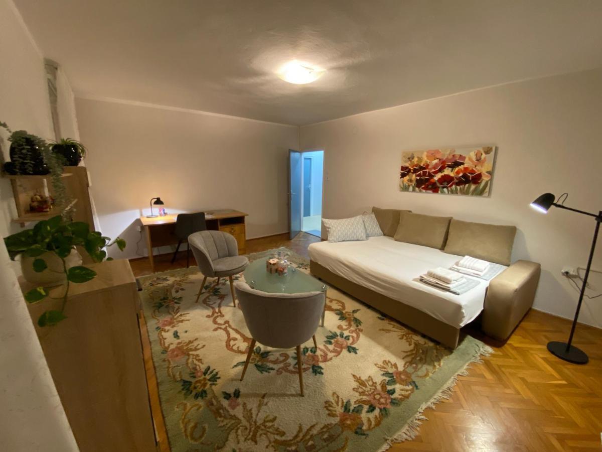קארלובץ Apartman Colapis- Self Check In, Free Parking, Premium Location! מראה חיצוני תמונה