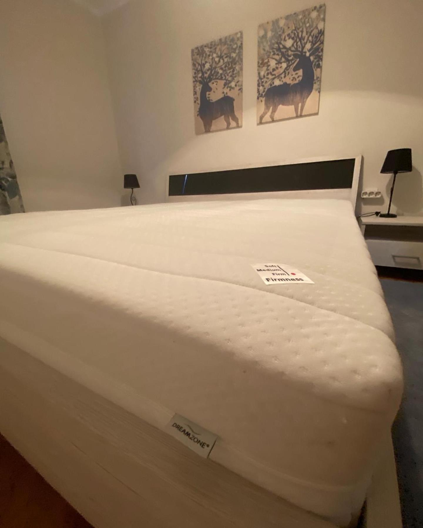 קארלובץ Apartman Colapis- Self Check In, Free Parking, Premium Location! מראה חיצוני תמונה